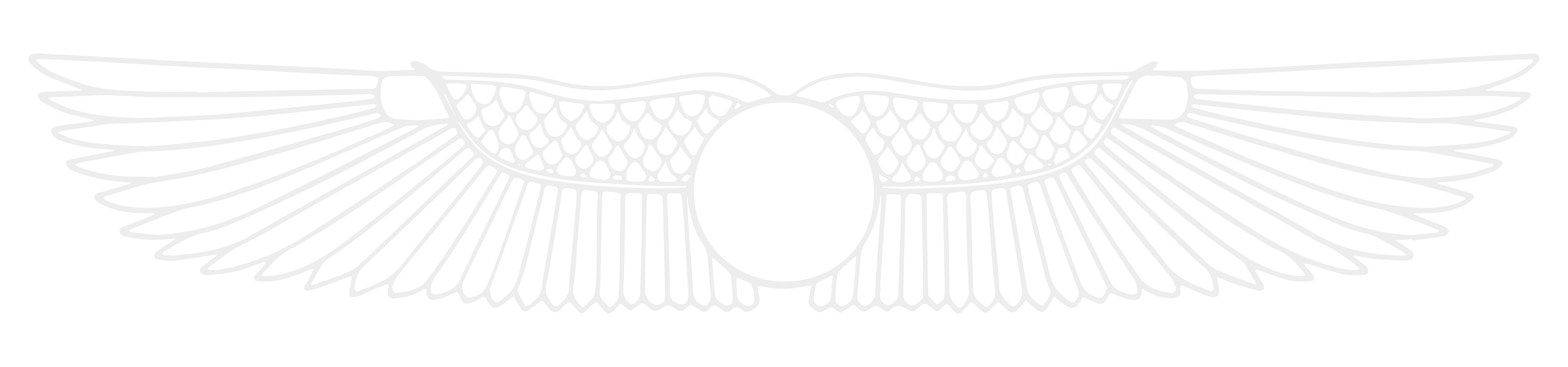 Wing